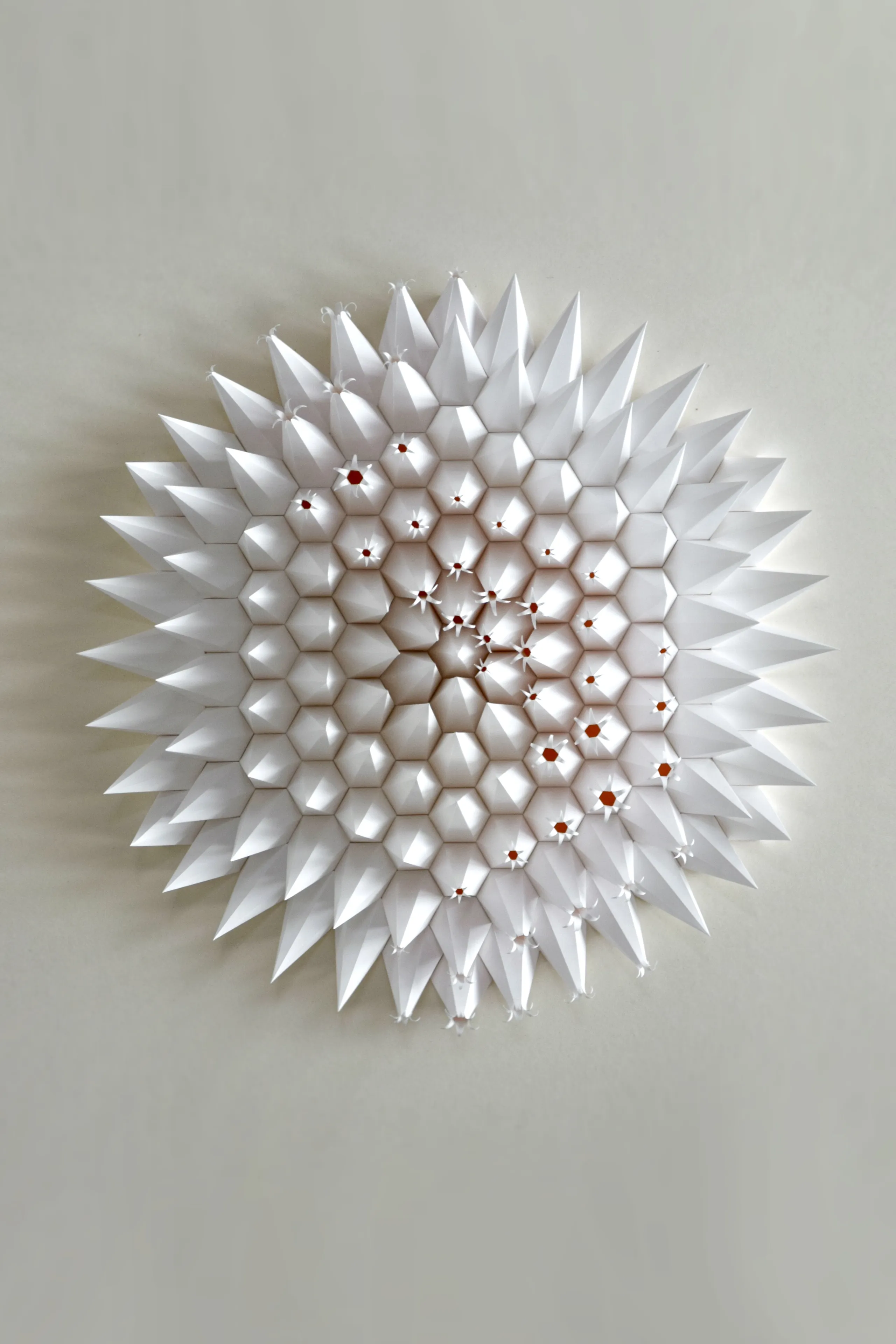 A round white disc of paper spikes on a pale wall, the tips opening at its centre to release orange
