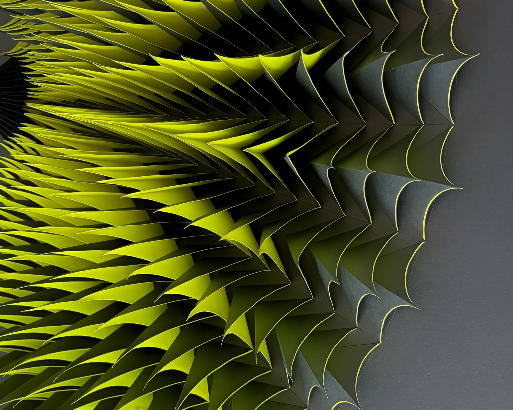 No. 23 – Expina – Close-up of the transition, the shells glowing neon yellow on the left and standing black on the right