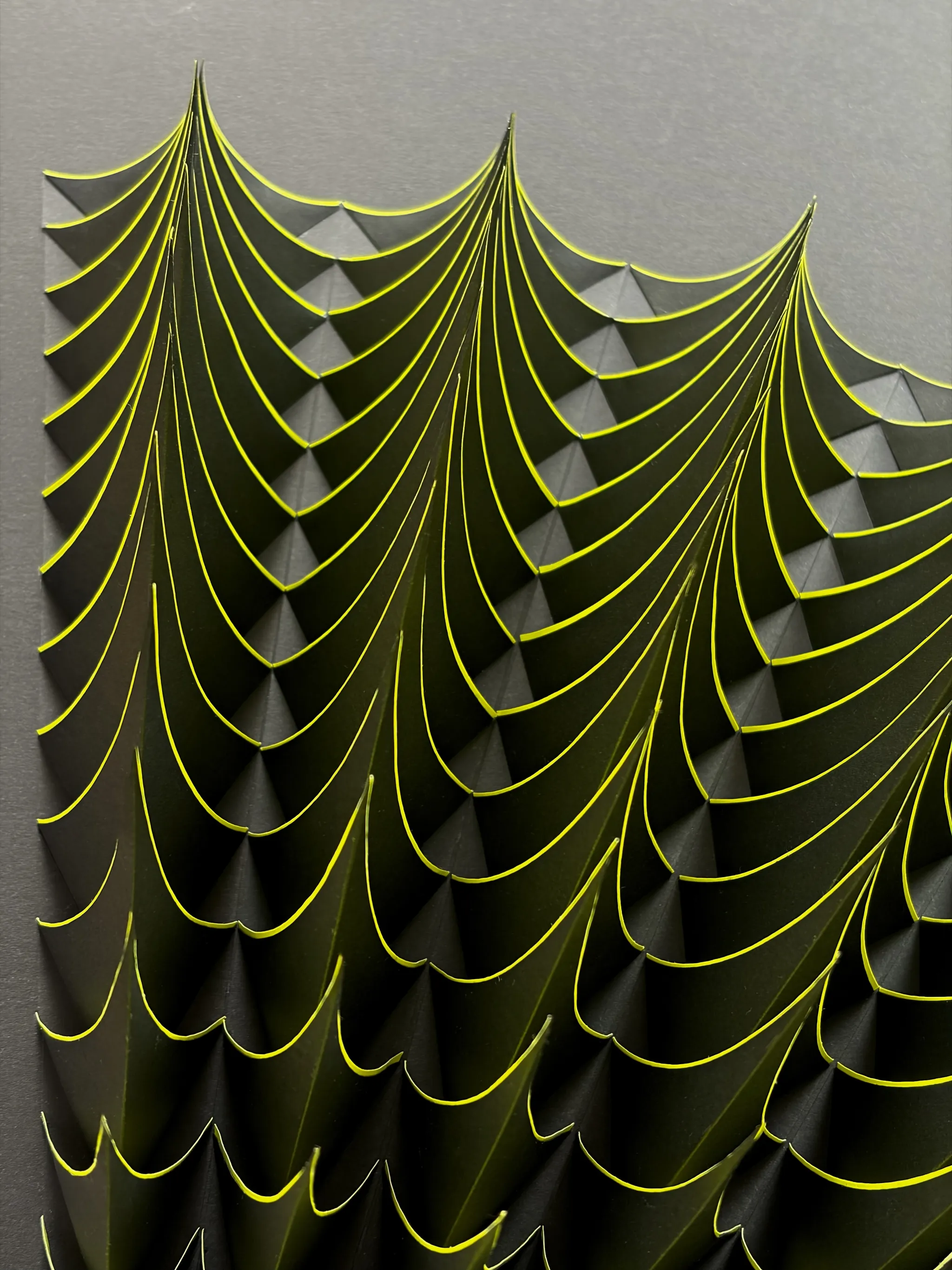 No. 23 – Expina – Detail of the black side, the edges of the shells drawn upwards as thin yellow lines