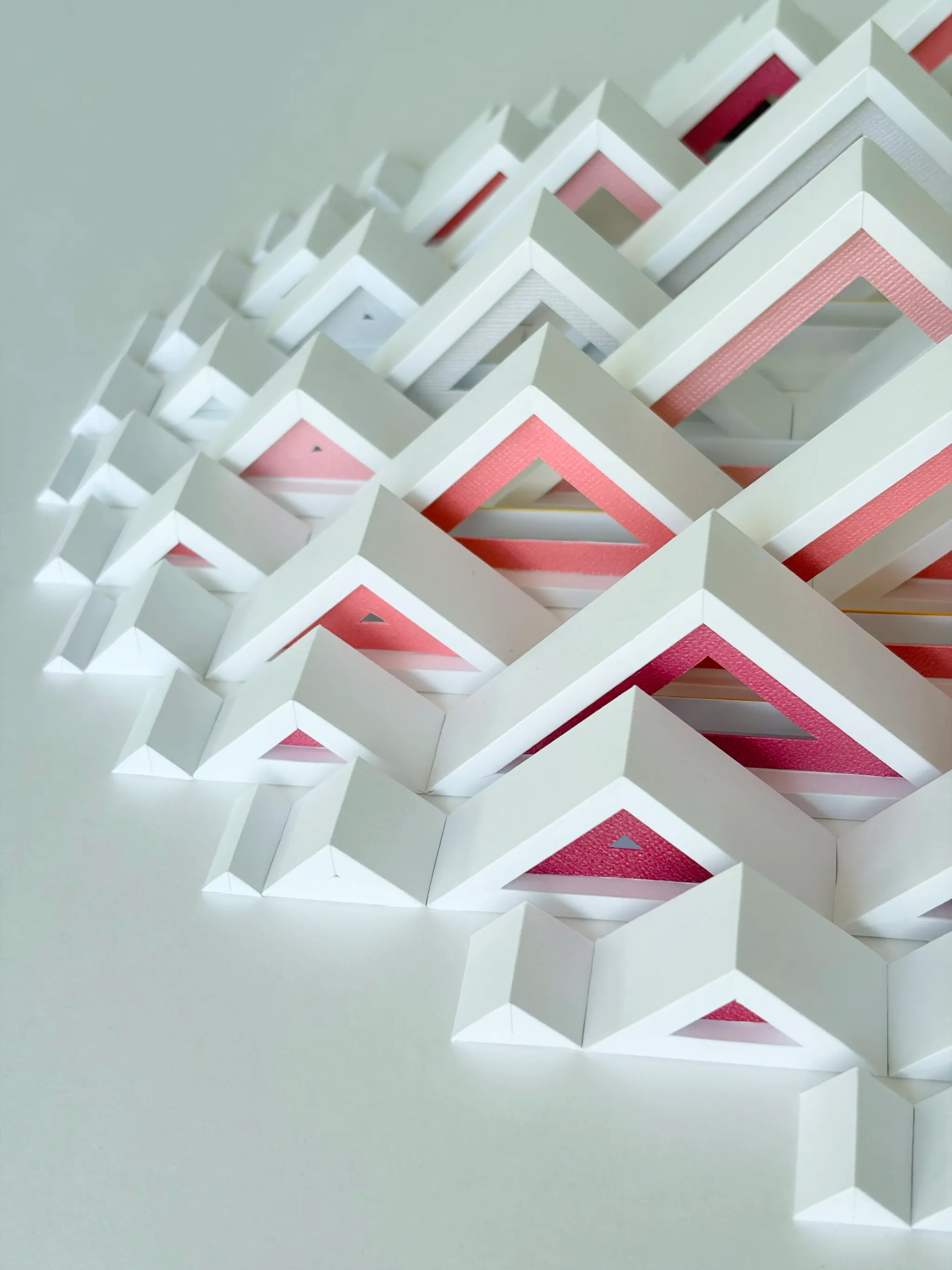 No. 24 – Triangula – The edge seen close up, the triangles growing lower towards the outside and showing pink inside
