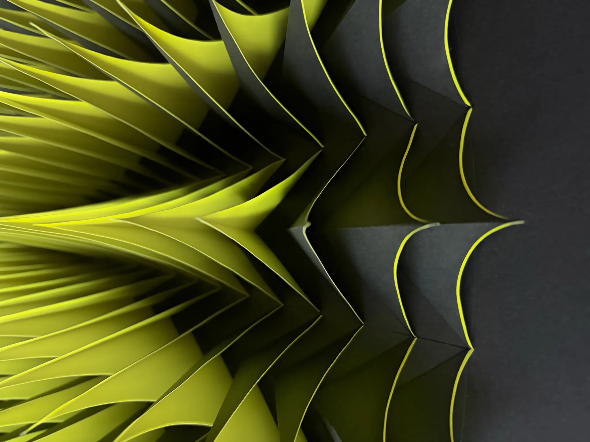 No. 23 – Expina – A close view of the centre line, yellow tips on one side and black arcs on the other