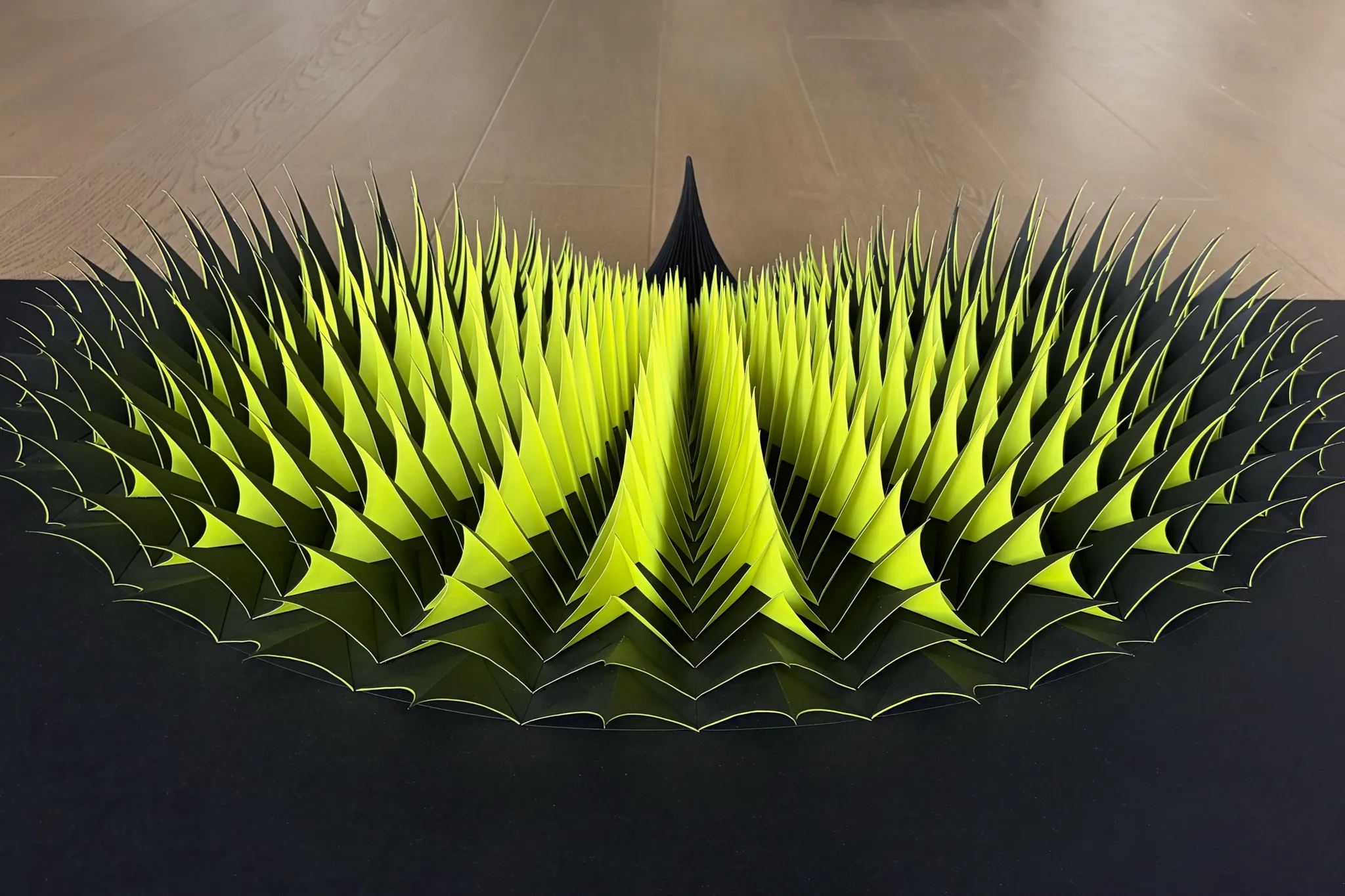 No. 23 – Expina – The work lying flat on the floor, the yellow tips rising towards the centre