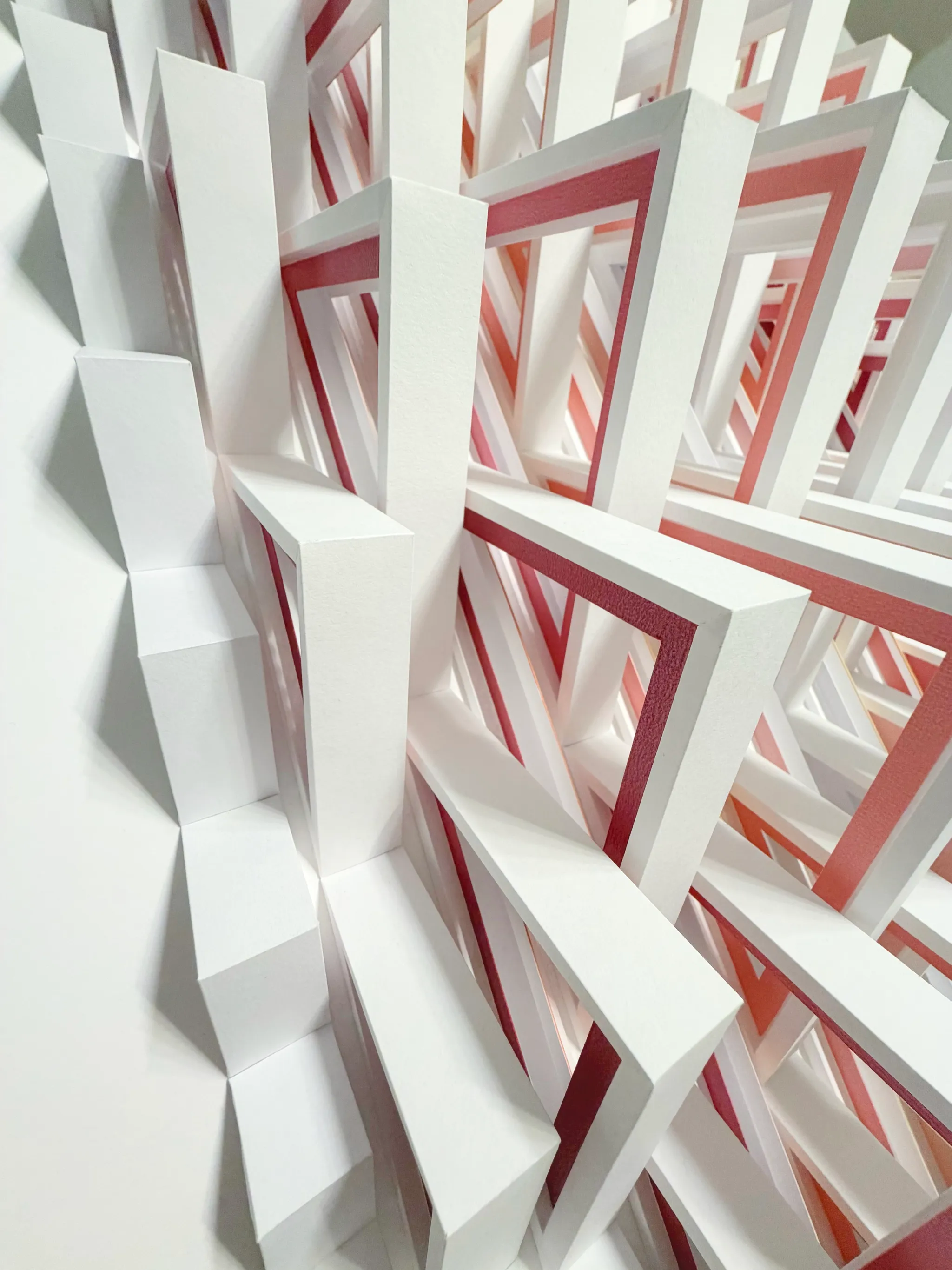 No. 24 – Triangula – A grazing view along the flank, the insides of the triangles running from dark red to pink