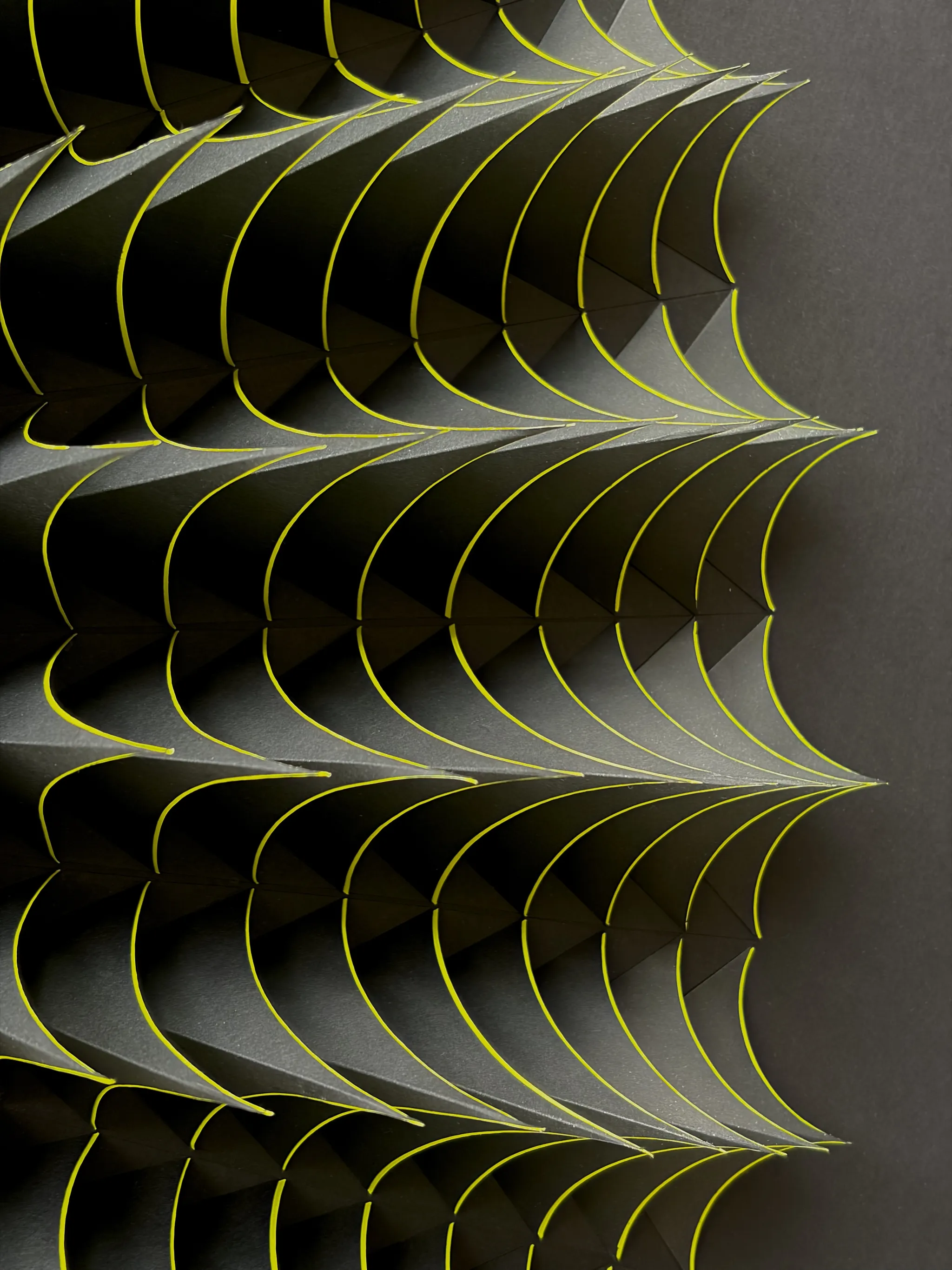No. 23 – Expina – The black side seen close up, yellow edges tracing every single shell