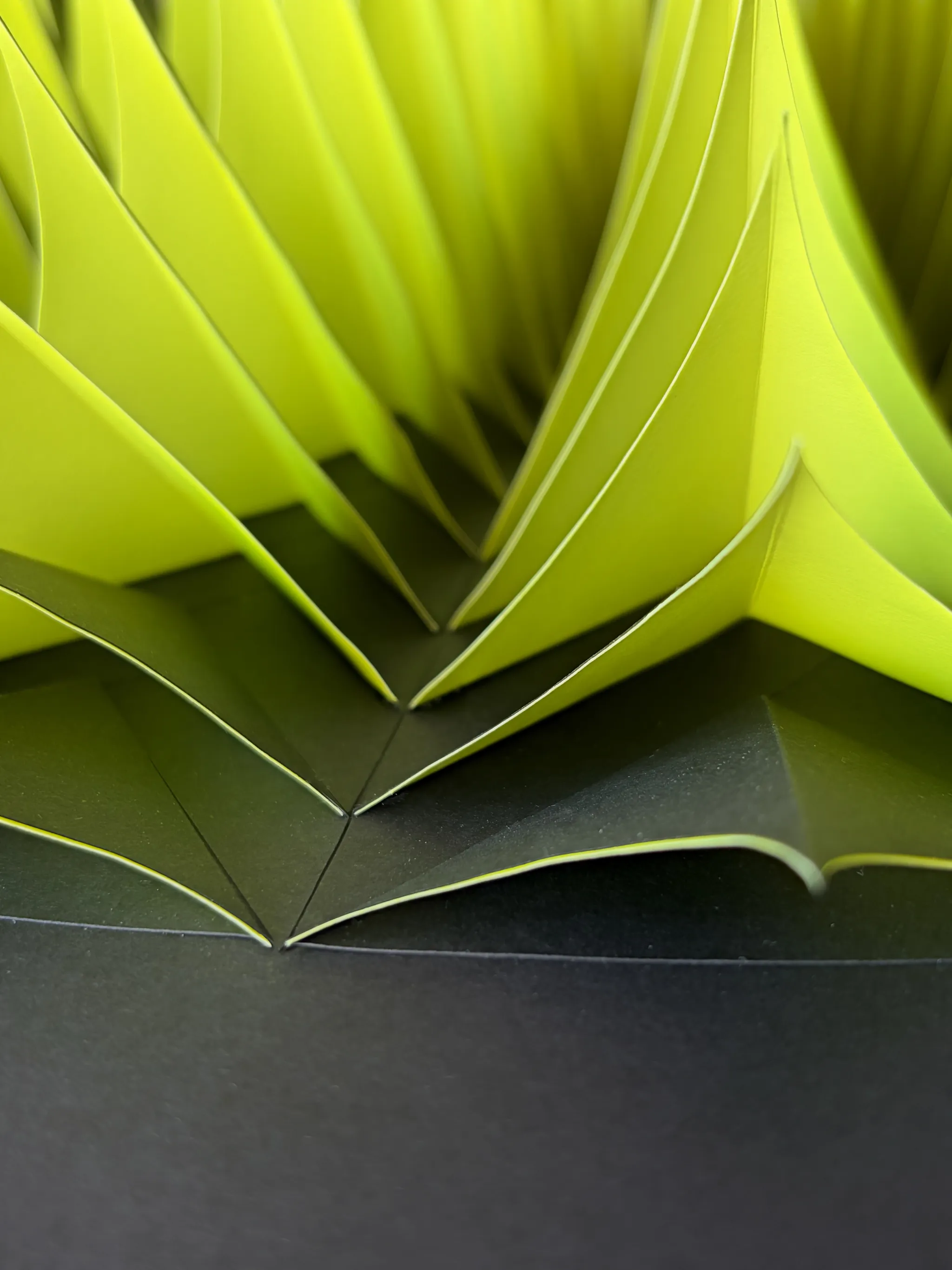 No. 23 – Expina – Macro shot of the centre, the yellow shells standing up like half-opened petals